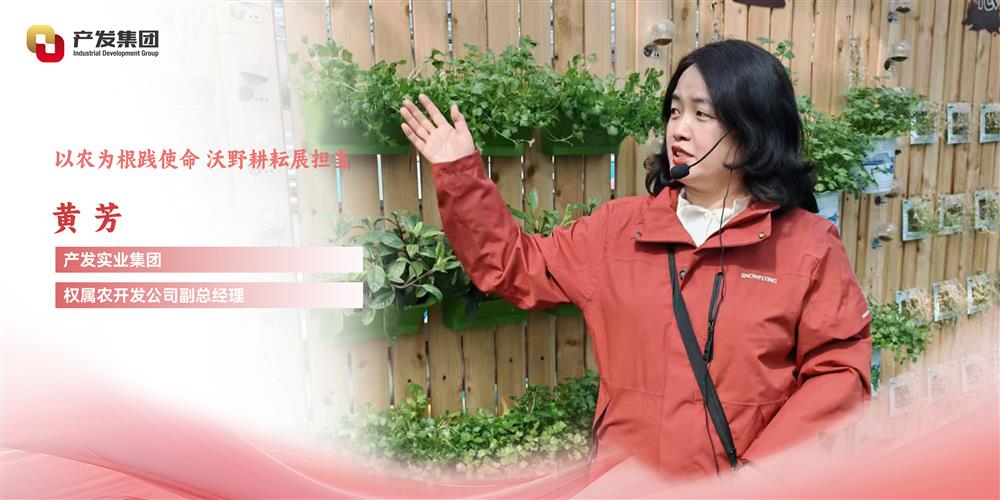巾帼绽青春 | 产发实业团体权属农开辟公司 黄芳：以农为根践任务，沃野耕作展担任